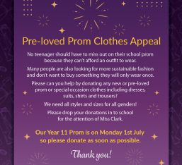 Pre-loved Prom Clothes Appeal