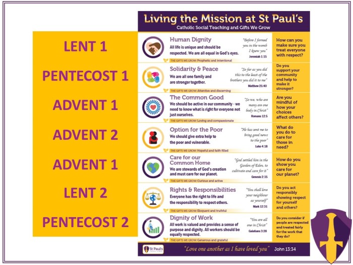 Catholic Social Teaching Overview