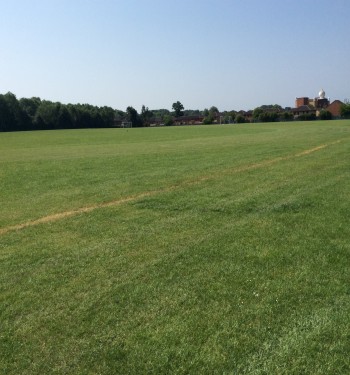Sports Field