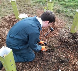 Horticulture Students Take Part In Tree Planting