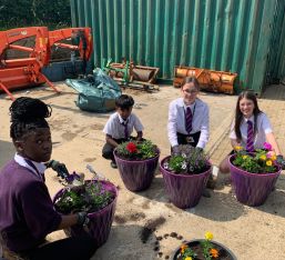 Increasing The Biodiversity Of The School Site