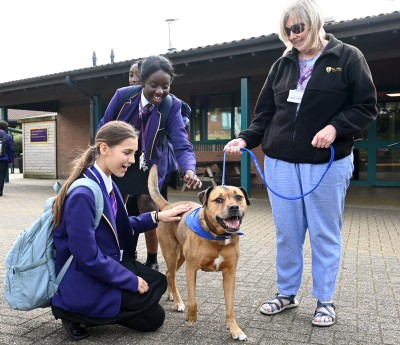 Chaplaincy & Pastoral Leader